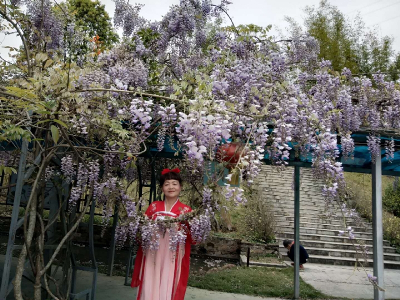 莉莉的第一张照片--龙岩中老年相亲网
